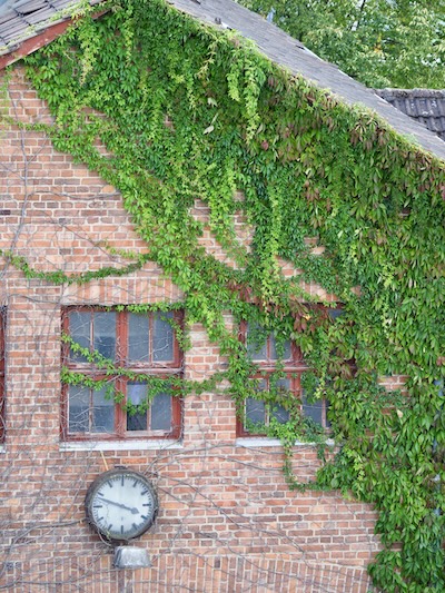 Tordurchfahrt Ökologischer Gewerbehof Linden mit Uhr